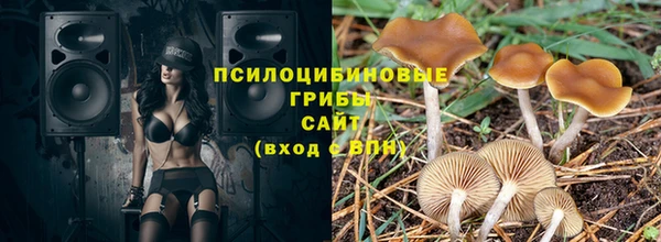 эйфоретик Михайловск